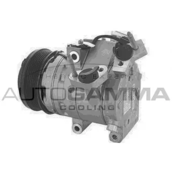 Compresseur, climatisation AUTOGAMMA OEM 2040822