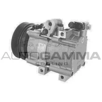 Compresseur, climatisation AUTOGAMMA OEM 977012D400