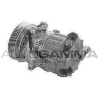 Compresseur, climatisation AUTOGAMMA 118745