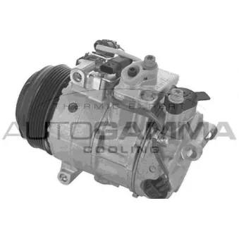 Compresseur, climatisation AUTOGAMMA 118755