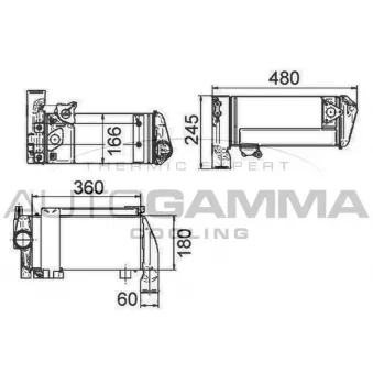 Radiateur d'huile AUTOGAMMA 300999