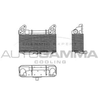 Radiateur d'huile AUTOGAMMA 303712