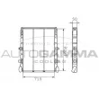 Radiateur, refroidissement du moteur AUTOGAMMA [400090]