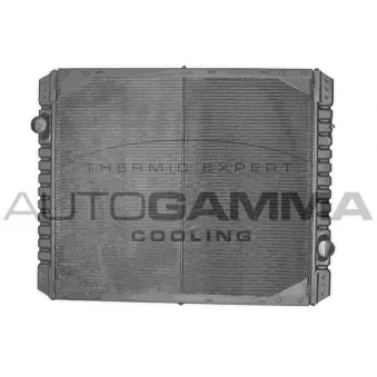 Radiateur, refroidissement du moteur AUTOGAMMA 400470