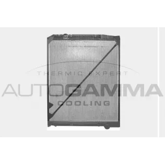 Radiateur, refroidissement du moteur AUTOGAMMA OEM 9425002803