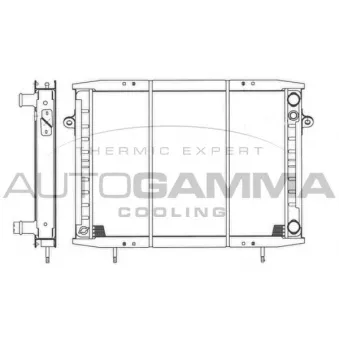 AUTOGAMMA 401008 - Radiateur, refroidissement du moteur