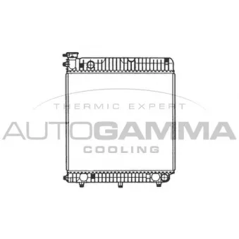 Radiateur, refroidissement du moteur AUTOGAMMA OEM 6015006903