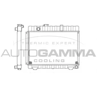 Radiateur, refroidissement du moteur AUTOGAMMA 403472