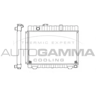 AUTOGAMMA 403472 - Radiateur, refroidissement du moteur