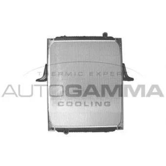 Radiateur, refroidissement du moteur AUTOGAMMA OEM 5001859150