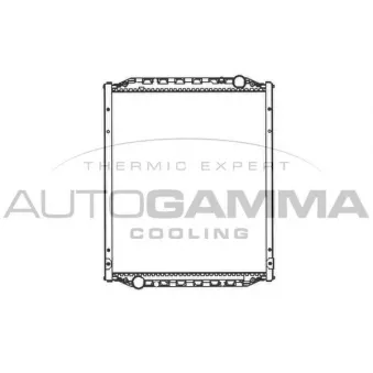 Radiateur, refroidissement du moteur AUTOGAMMA 403682