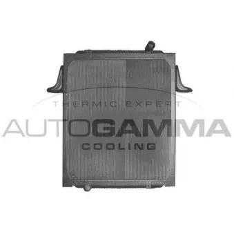 Radiateur, refroidissement du moteur AUTOGAMMA OEM 5010315739