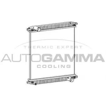 Radiateur, refroidissement du moteur AUTOGAMMA OEM 500380655