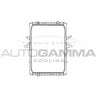 Radiateur, refroidissement du moteur AUTOGAMMA OEM 5001860493
