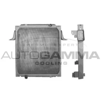 AUTOGAMMA 404548 - Radiateur, refroidissement du moteur