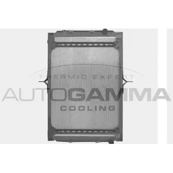 Radiateur, refroidissement du moteur AUTOGAMMA OEM 7421699253