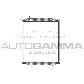 Radiateur, refroidissement du moteur AUTOGAMMA OEM 81061016500