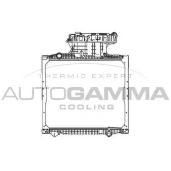 Radiateur, refroidissement du moteur AUTOGAMMA OEM 81061010058