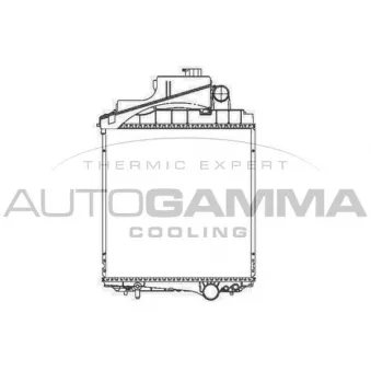 Radiateur, refroidissement du moteur AUTOGAMMA OEM AL163360