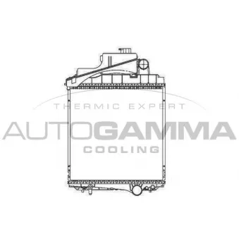 Radiateur, refroidissement du moteur AUTOGAMMA 405292