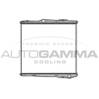 Radiateur, refroidissement du moteur AUTOGAMMA 405492