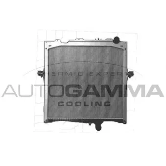 Radiateur, refroidissement du moteur AUTOGAMMA OEM 7422062510