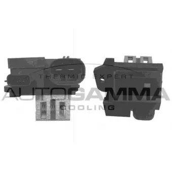 Résistance du ventilateur de radiateur AUTOGAMMA OEM 255507773R