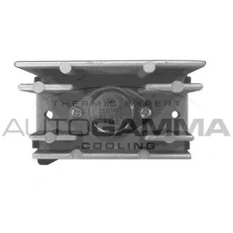 Résistance, pulseur d'air habitacle AUTOGAMMA GA15852