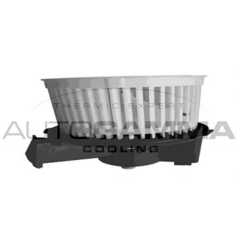 Pulseur d'air habitacle AUTOGAMMA OEM 77362538