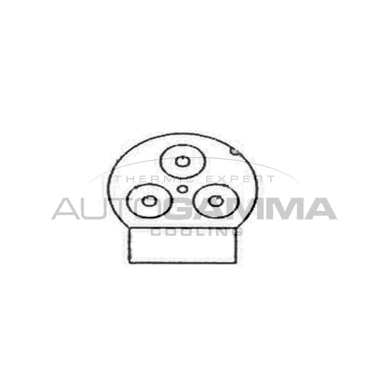 Ventilateur, refroidissement du moteur AUTOGAMMA GA200478 - Visuel 1