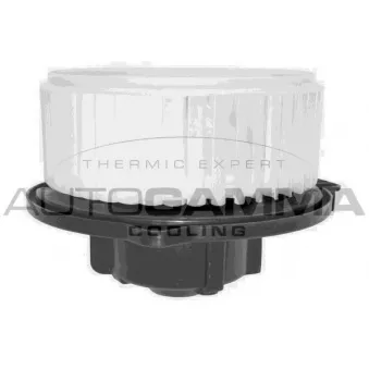 Pulseur d'air habitacle AUTOGAMMA GA20067