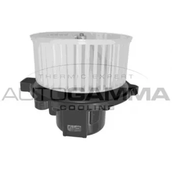 Pulseur d'air habitacle AUTOGAMMA GA20069