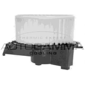 Pulseur d'air habitacle AUTOGAMMA GA20090