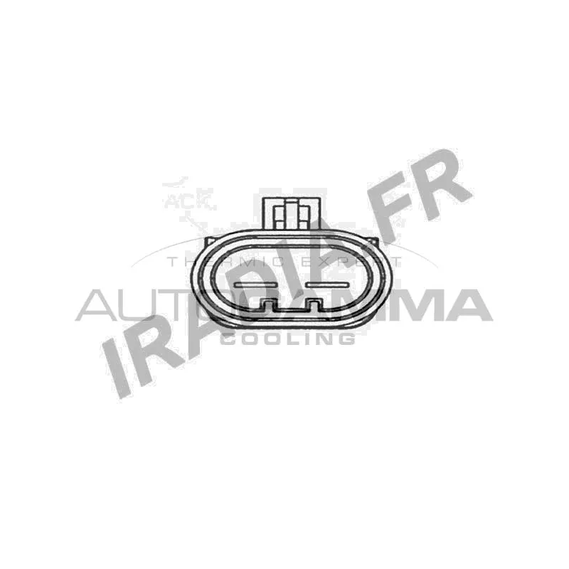 Ventilateur, refroidissement du moteur AUTOGAMMA GA201062 - Visuel 1