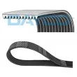 Courroie trapézoïdale à nervures DAYCO [11PK2835HD]