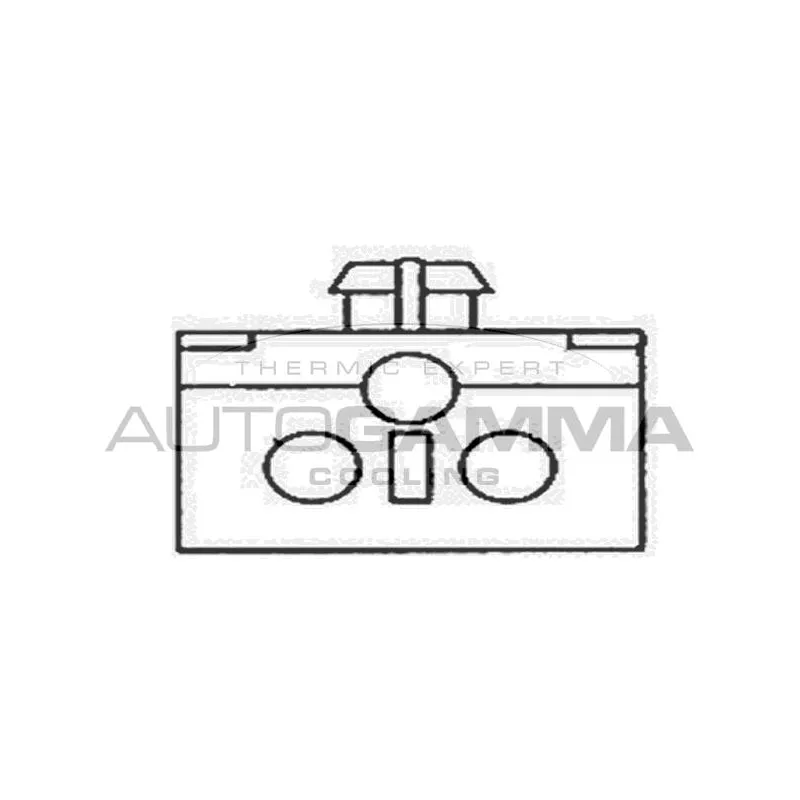 Ventilateur, refroidissement du moteur AUTOGAMMA GA201281 - Visuel 1