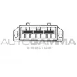 AUTOGAMMA GA201545 - Ventilateur, refroidissement du moteur
