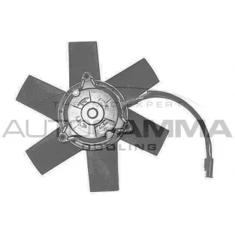 Ventilateur, refroidissement du moteur AUTOGAMMA GA201624