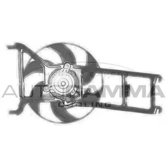 AUTOGAMMA GA201631 - Ventilateur, refroidissement du moteur