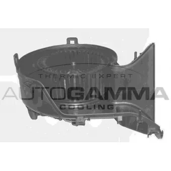 Pulseur d'air habitacle AUTOGAMMA GA20363