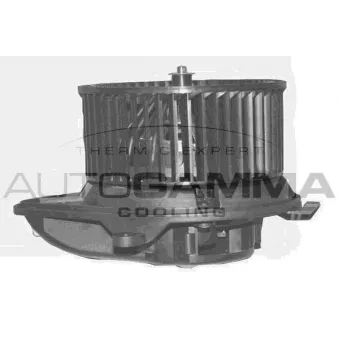 AUTOGAMMA GA20377 - Pulseur d'air habitacle