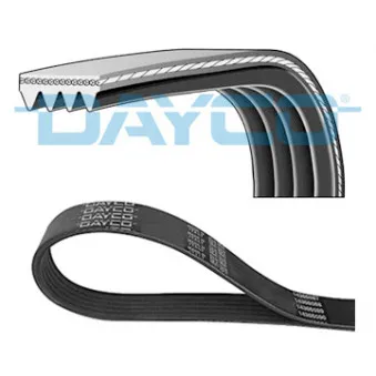Courroie trapézoïdale à nervures DAYCO OEM E50115907
