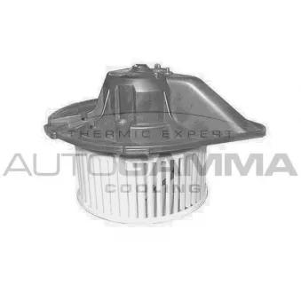 Pulseur d'air habitacle AUTOGAMMA GA20550