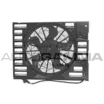 Ventilateur, refroidissement du moteur AUTOGAMMA OEM 6921379