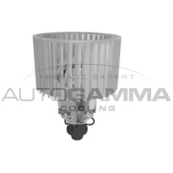 Pulseur d'air habitacle AUTOGAMMA GA31305