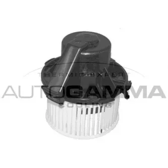 Pulseur d'air habitacle AUTOGAMMA GA36012