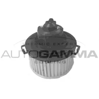 Pulseur d'air habitacle AUTOGAMMA GA38300