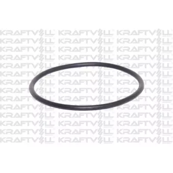 Joint d'étanchéité, pompe à carburant KRAFTVOLL GERMANY 10030875