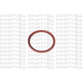 KRAFTVOLL GERMANY 10032713 - Bague d'étanchéité, gaine de suralimentation