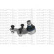 KRAFTVOLL GERMANY 13010046 - Rotule de suspension avant droit